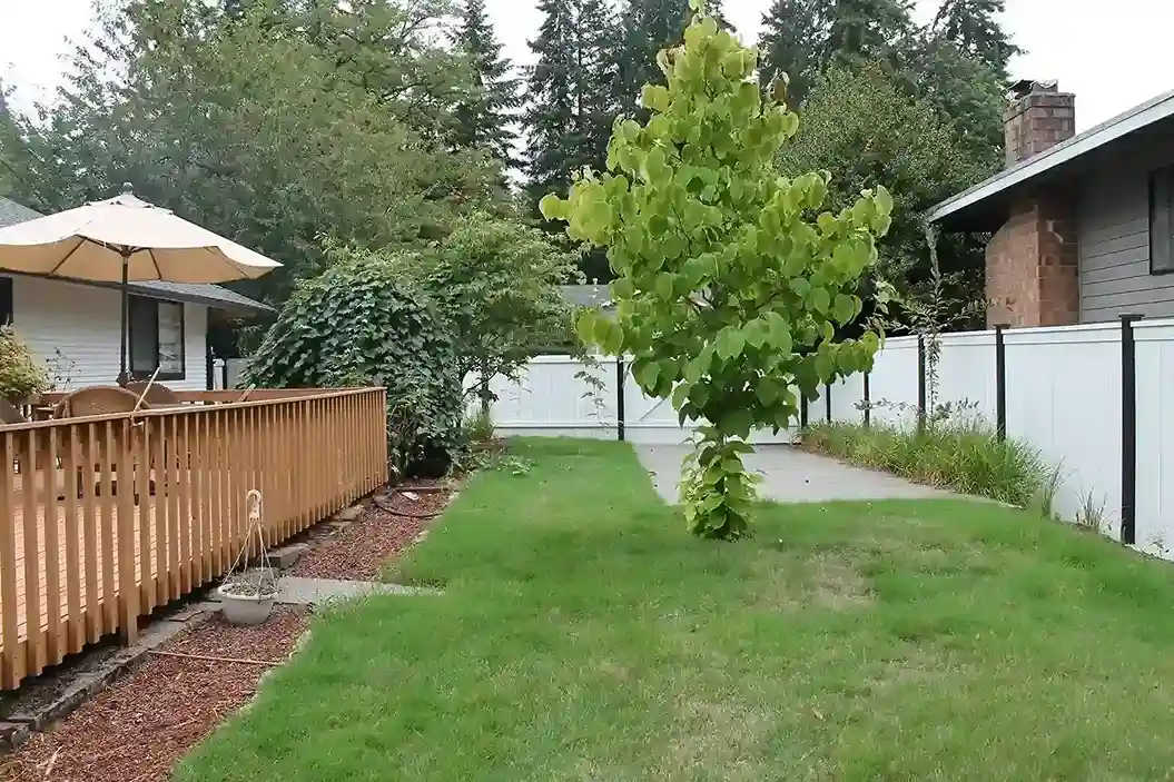 senior care home in Kirkland with open area for fresh air and peace of mind